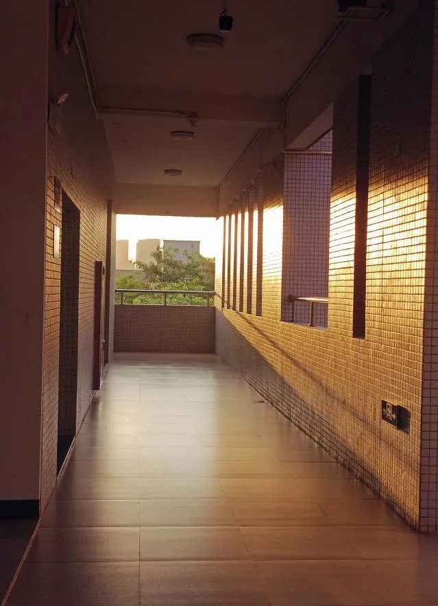 2024年校園文化藝術(shù)節(jié)系列報(bào)道(六)——“與光同行”攝影比賽(圖9) 2024年校園文化藝術(shù)節(jié)系列報(bào)道(六)——“與光同行”攝影比賽(圖9)