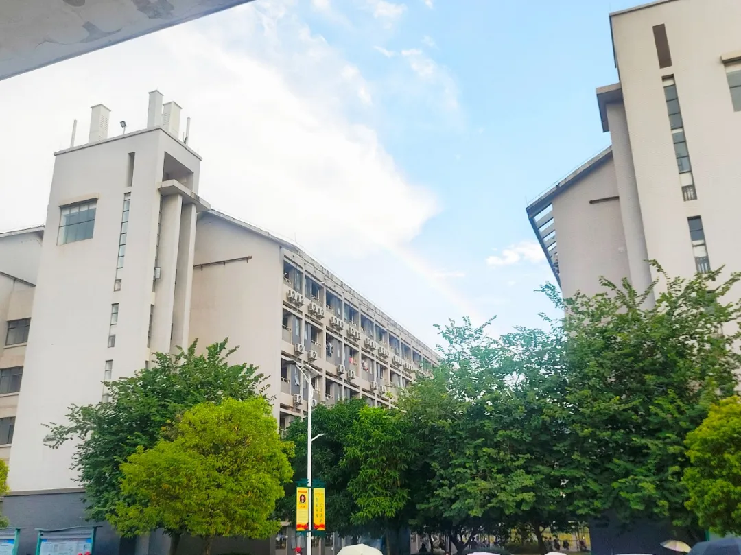 2024年校園文化藝術(shù)節(jié)系列報(bào)道(六)——“與光同行”攝影比賽(圖11) 2024年校園文化藝術(shù)節(jié)系列報(bào)道(六)——“與光同行”攝影比賽(圖11)