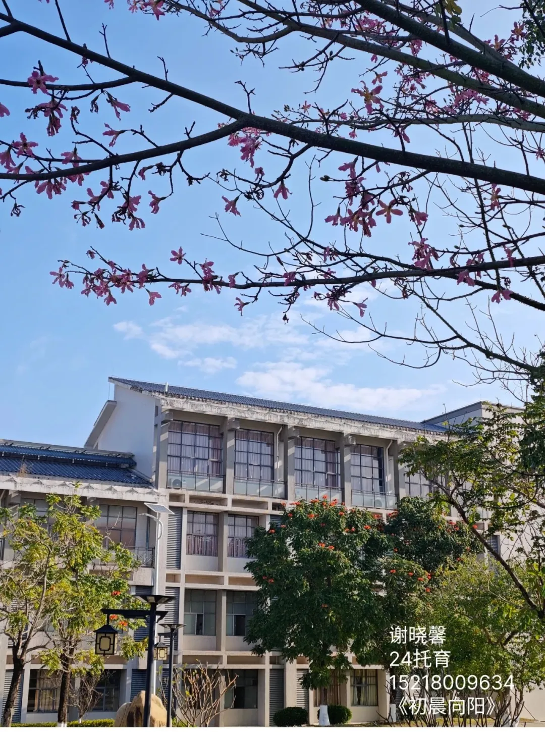 2024年校園文化藝術(shù)節(jié)系列報(bào)道(六)——“與光同行”攝影比賽(圖2) 2024年校園文化藝術(shù)節(jié)系列報(bào)道(六)——“與光同行”攝影比賽(圖2)