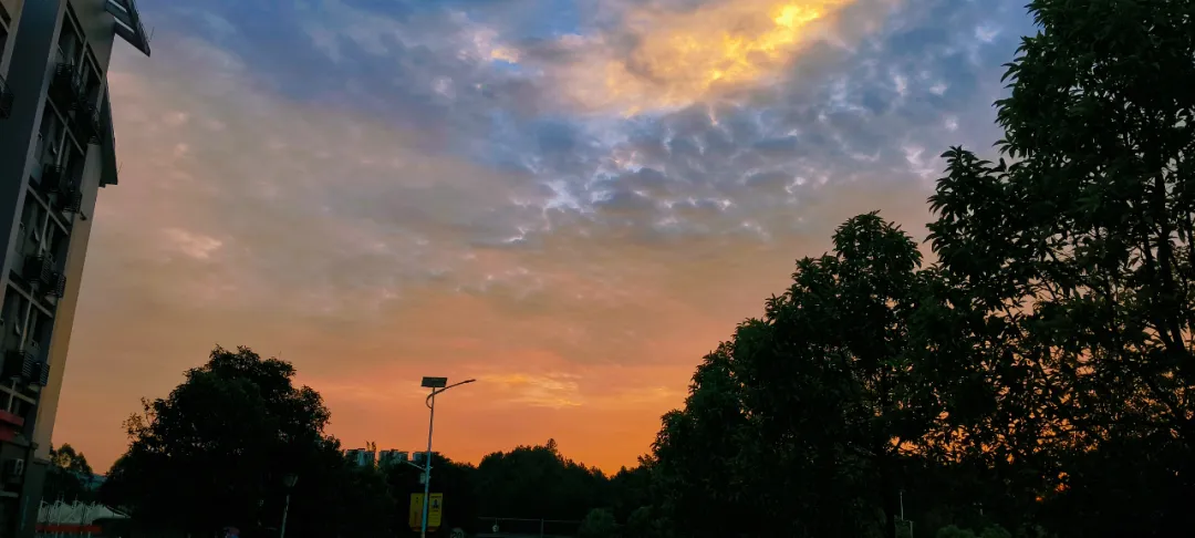 2024年校園文化藝術(shù)節(jié)系列報(bào)道(六)——“與光同行”攝影比賽(圖12) 2024年校園文化藝術(shù)節(jié)系列報(bào)道(六)——“與光同行”攝影比賽(圖12)