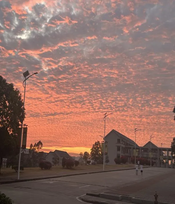 2024年校園文化藝術(shù)節(jié)系列報(bào)道(六)——“與光同行”攝影比賽(圖4) 圖片35.png